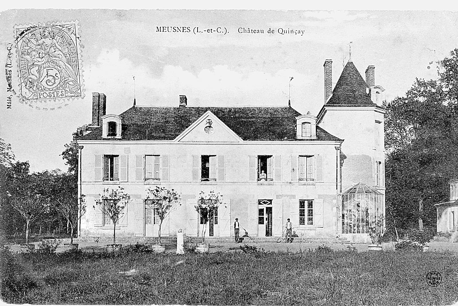 VINEYARD - Château de Quinçay